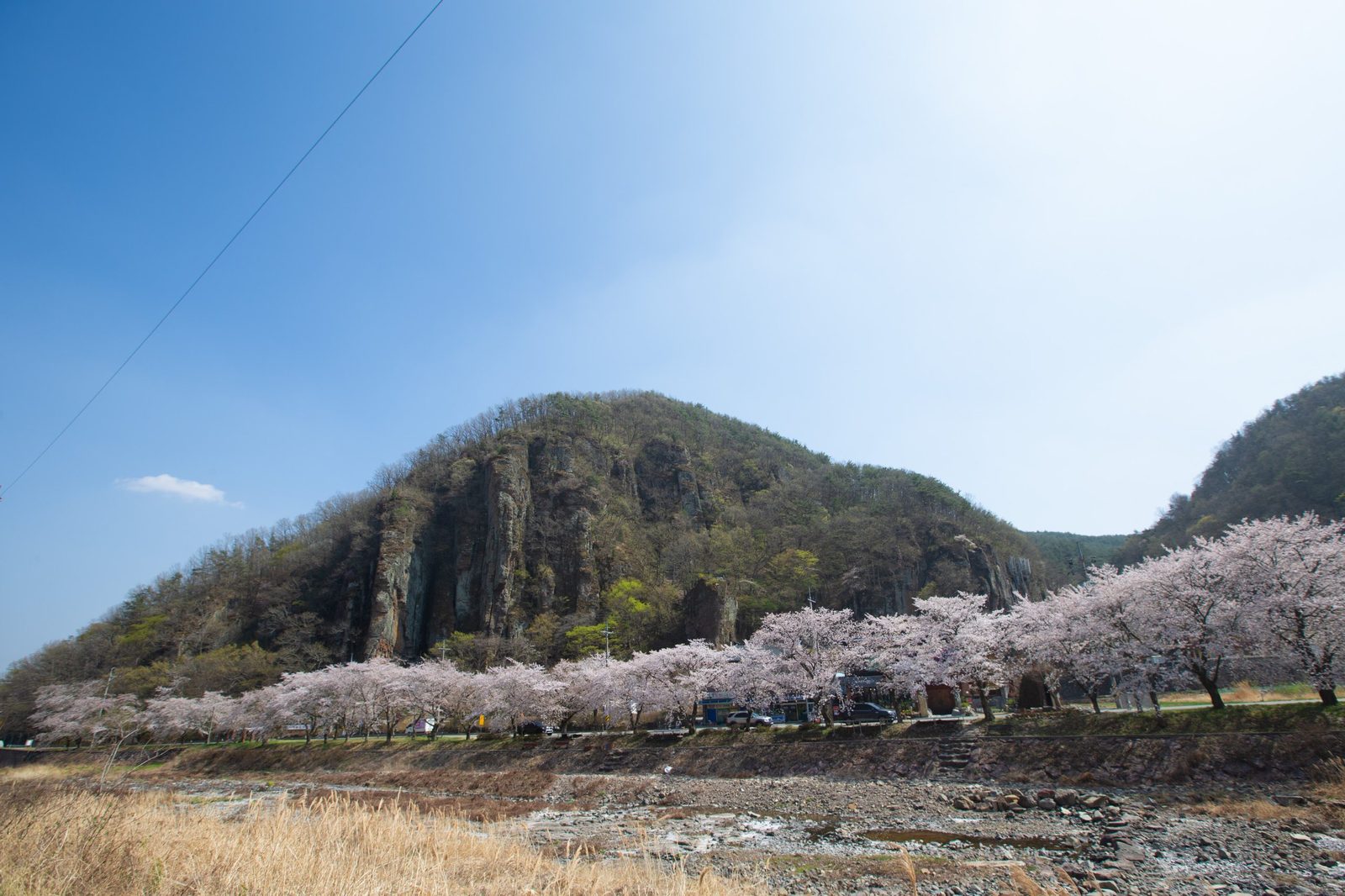 봄 — 벚꽃이 핀 야외 촬영지