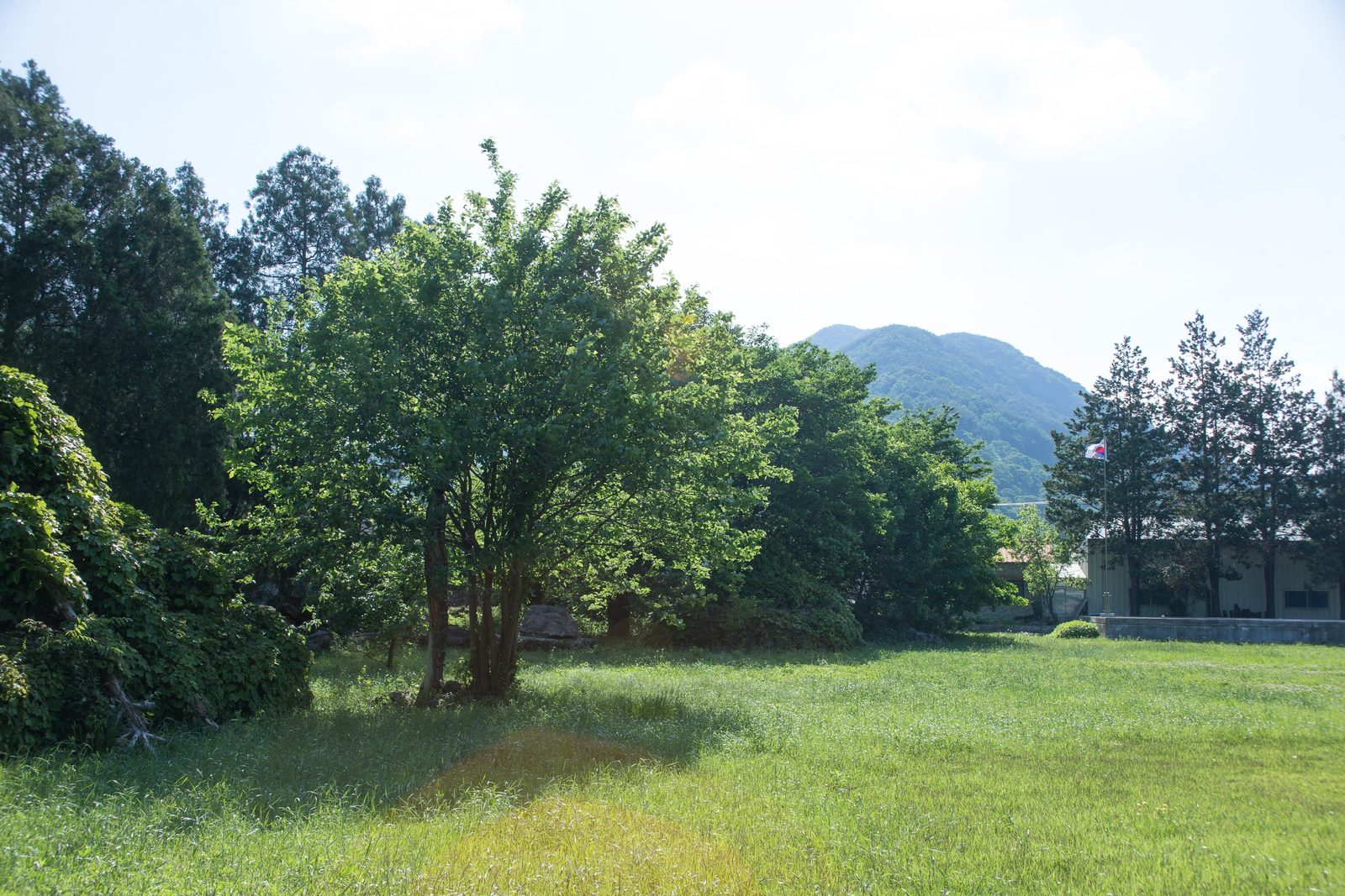 창원 야외 가족사진 — 잔디밭 너머로 산이 보이는 야외 공간